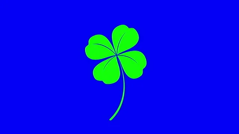 Nimation of green four leaf clover isolated on blue screen background. Stock Footage 337415625