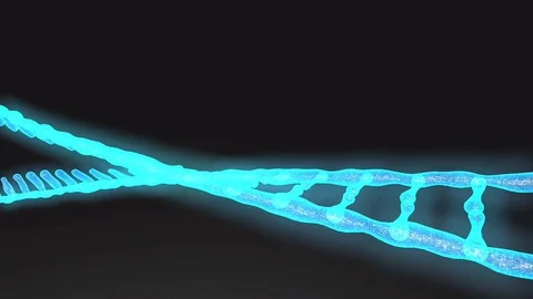 Nimation rotating DNA , Genetics concept. Stock Footage 107511548