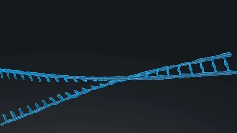 Nimation rotating DNA , Genetics concept. Stock Footage 107511570
