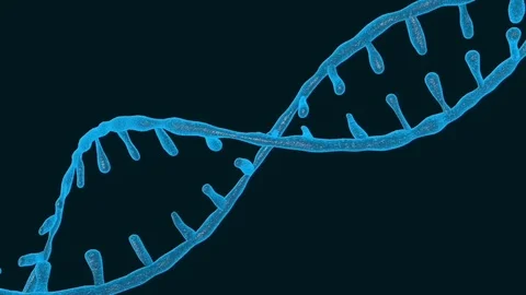 Nimation rotating DNA , Genetics concept. Stock Footage 107511609