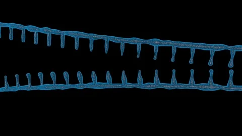 Nimation rotating DNA , Genetics concept. Stock Footage 107511636