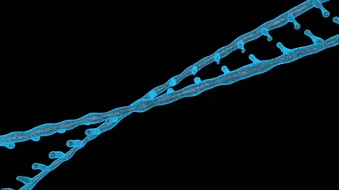 Nimation rotating DNA , Genetics concept. Stock Footage 107511661