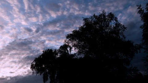 Nimbocumulus Cloud Formations Overshadow a Sunset Stock Footage 113236418