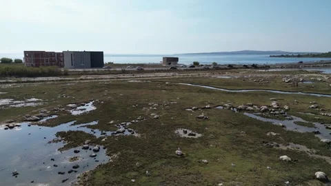 Nin,Croatia Stock Footage 319498812