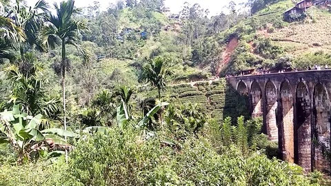 Nine Arch Bridge 스톡 동영상 123238980