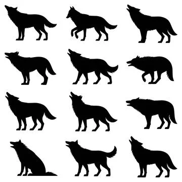 Nine black silhouette wolves in various poses Stock Illustration