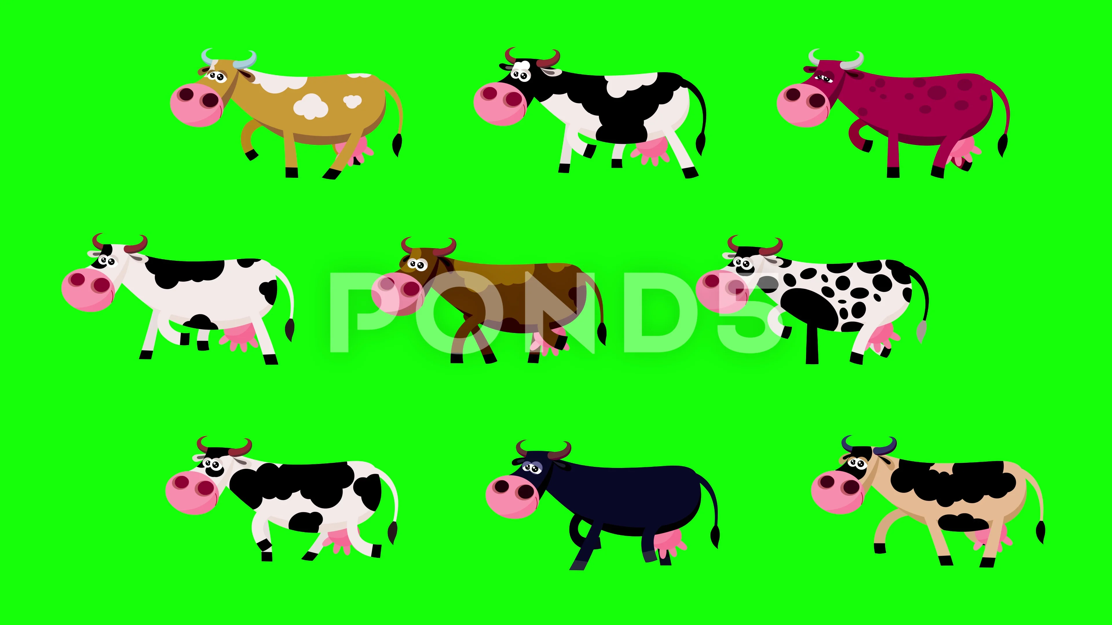 Nine different colour cows cartoon walki... | Stock Video | Pond5