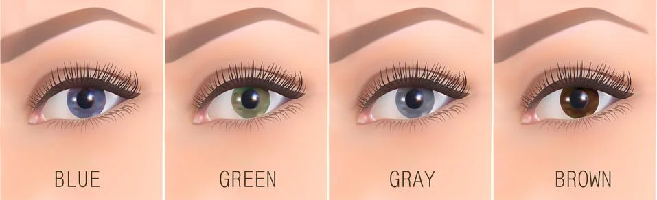 Nine different eye colors set Stock Illustration