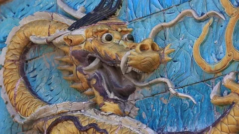 Nine Dragon Wall (Jiu Long Bi) in the Forbidden City Stock Footage 203129159