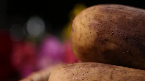 Nine hole lotus root and seven hole lotus root (6) Video stock 202258668