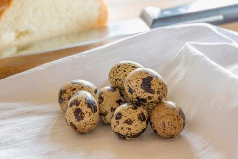 Nine quail eggs Stockfoto's