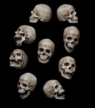 Nine skulls Stock Photos