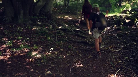A nine-year-old boy with a backpack walks along a mountain forest trail, full of Stock Footage 250862827