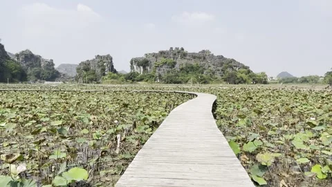 Ninh Binh 4 動画素材 276160899