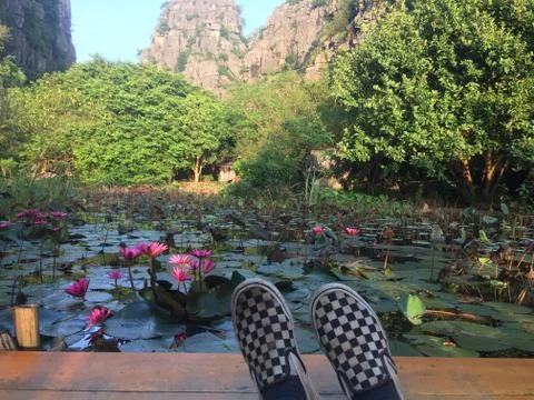 Ninh Binh Mountain Range And Lily Pond, Vietnam Stock Photos