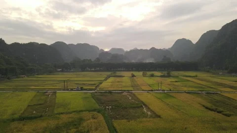 Ninh Binh Rice Fields and Karst Hills Stock Footage 315621744