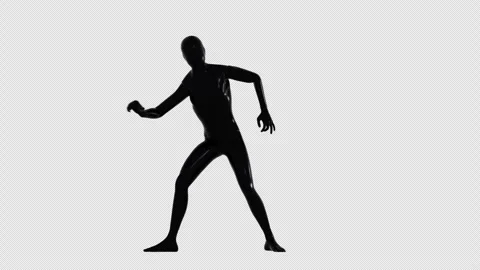 Ninja Stock Footage 306665394