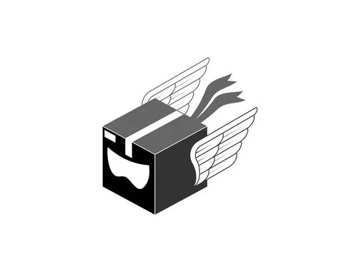 Ninja head in the box package illustration Stock Illustration