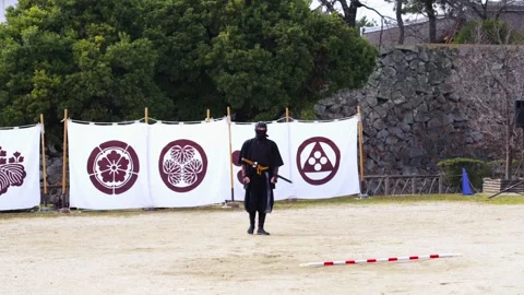 Ninja Performer with Headset Microphone at Nagoya Castle Gardens Show Stock Footage 334119554