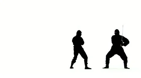 Ninja Swordfight Stock Footage 22784636