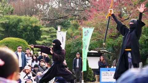 Ninjas Perform Acrobatics for Audience at Nagoya Castle Gardens, Japan Stock Footage 334079520