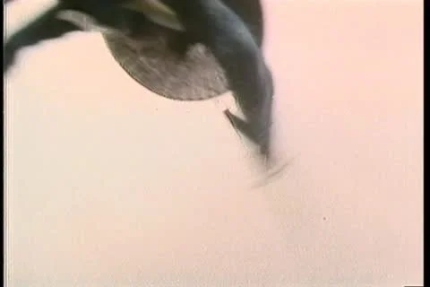 Ninjas preparing for battle in field Stock Footage 11355044