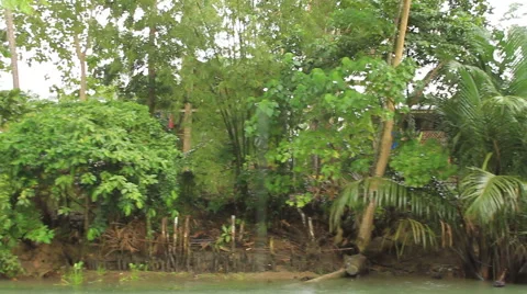 Nipa hut in a tropical rain forest Stock Footage 43670136