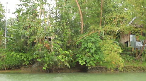 Nipa huts on a jungle river Stock Footage 43670435