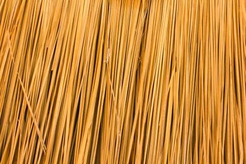 Nipa palm Foto stock