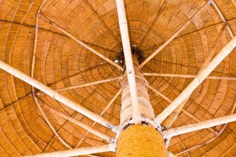 Nipa palm Stock Photos