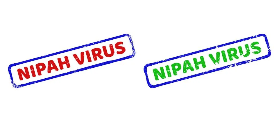 NIPAH VIRUS Bicolor Rough Rectangle Stamp Seals with Unclean Styles Stock Illustration