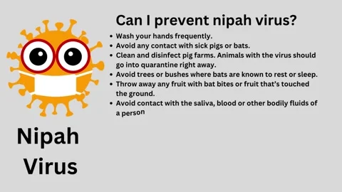 Nipah Virus Can I prevent nipah virus Stock Footage 253254121