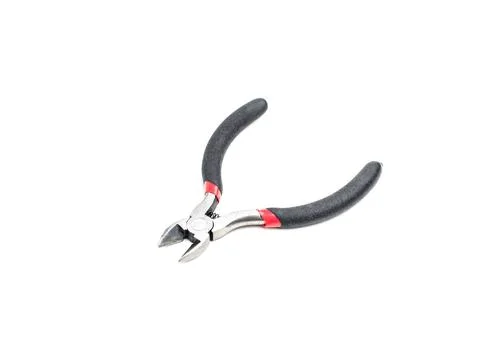 Nipper isolate on white background Stock Photos