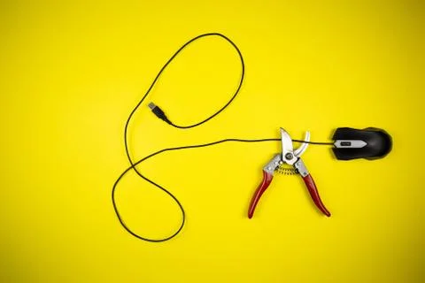Nippers cut the wire of a computer mouse Stock Photos