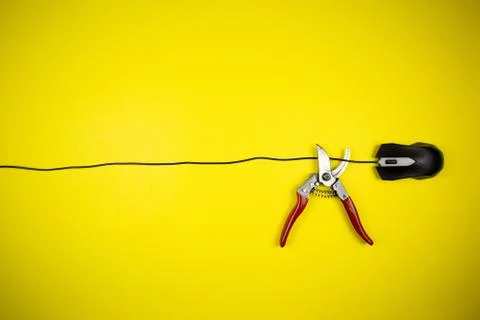 Nippers cut the wire of a computer mouse Stock Photos