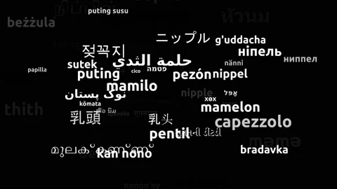 Nipple Translated in 62 Worldwide Languages Endless Looping 3d Zooming Wordcl 스톡 동영상 145209036