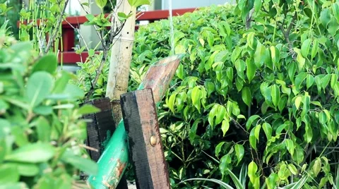 Nippon Graden Stock Footage 46530109