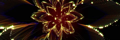 Nirmala Video stock 144286440