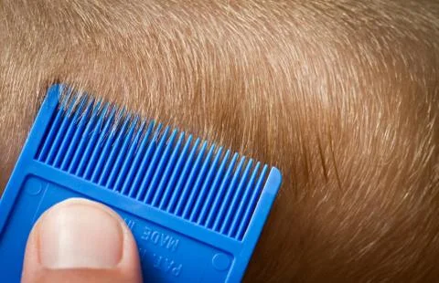 Nit picking Stock Photos