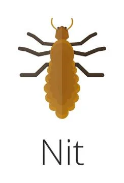 Nit skin parasite insect bug 스톡 일러스트