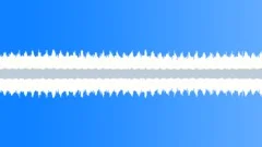 Nite insects Sound Effect