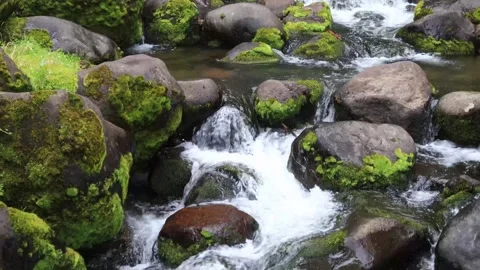 NITHI WATERFALLS  BEUTIFUL STONES  AND SCENERY. Stock Footage 313752153