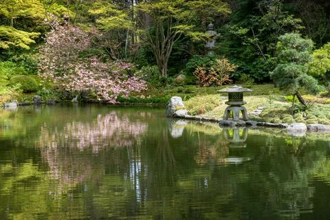 Nitobe Gardens Pond Reflections Stock Photos