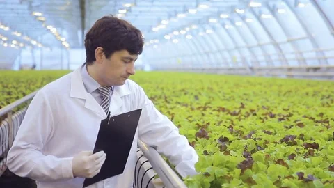 Nitrate salts of nitrous acid, which plants draw from soil Stock Footage 77484041