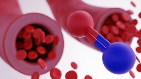 Nitric oxide and dynamics of vasodilation Stock Illustration