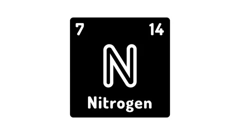 Nitrogen chemical element glyph icon animation Stock Footage 326158947