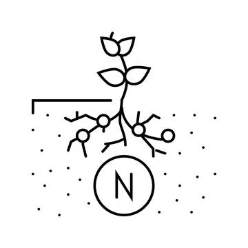 Nitrogen fixation environmental line icon vector illustration Stock Illustration