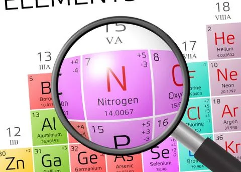 Nitrogen from Periodic Table of the Elements with magnifying glass 스톡 일러스트