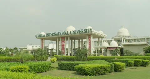 NIU Stock Footage 154637725