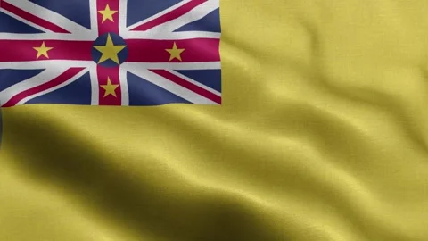 Niue flag Front Stock Footage 318667679